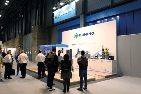 DOMINO