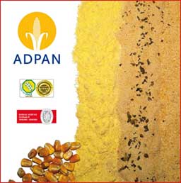 <b>Adpan</b> presentó tres nuevos productos: <i>Pan Rallado<sup>IP</sup></i>, <i>Harina de Maíz<sup>IP</sup></i> y <i>Encolante</i>, libres de alérgenos.