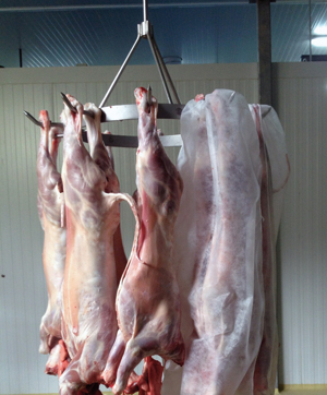 <b>Condes</b> saca al mercado una <i>bolsa desechable</i>, única para la protección de las carnes frescas durante su transporte