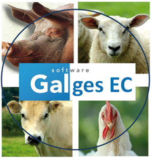 <b>Galper</b> presenta un nuevo programa dentro de la gama Galges 7-Smart ERP. Se trata de <i>Galges EC</i>, una aplicación informática especialmente diseñada para salas de despiece cuyos clientes están dentro del denominado público Horeca. 