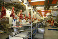 <b>Marel</b> ha creado una línea para una trazabilidad automática al 100% durante el procesamiento de carne.