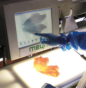 <b>Meyn</b> presenta un nuevo sistema de detección de hueso que combina una gran precisión con alta capacidad: <i>BoneScan 440 ADX</i>.