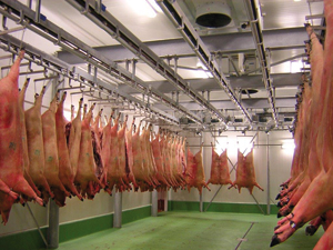 <b>MPS (Meat Processing Systems)</b> es un proveedor global de líneas de sacrificio automatizadas para cerdos, vacuno y ovino, líneas de despiece y deshuese, sistemas de logística interna para la industria cárnica y sistemas de tratamiento de aguas residuales industriales.