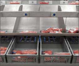 <b>Meat Processing System (MPS)</b> mostró, en su unidad <i>Red Meat Slaughtering</i>, cinco herramientas diferentes con funciones específicas en su línea <i>F-Line</i> dentro del programa de automatización en el sacrificio, que puede alcanzar 800 cerdos por hora, si bien puede aumentar la producción ampliamente situando varias unidades en paralelo. 