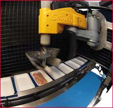 <b>Timpolot</b> presenta el <i>RP60</i>, un <i>robot diseñado para la carga de pechugas de pollo</i> en barquetas. 